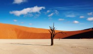 Dead Vlei