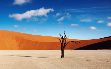 Das Dead Vlei