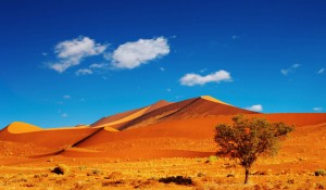 Dunes in the Namib