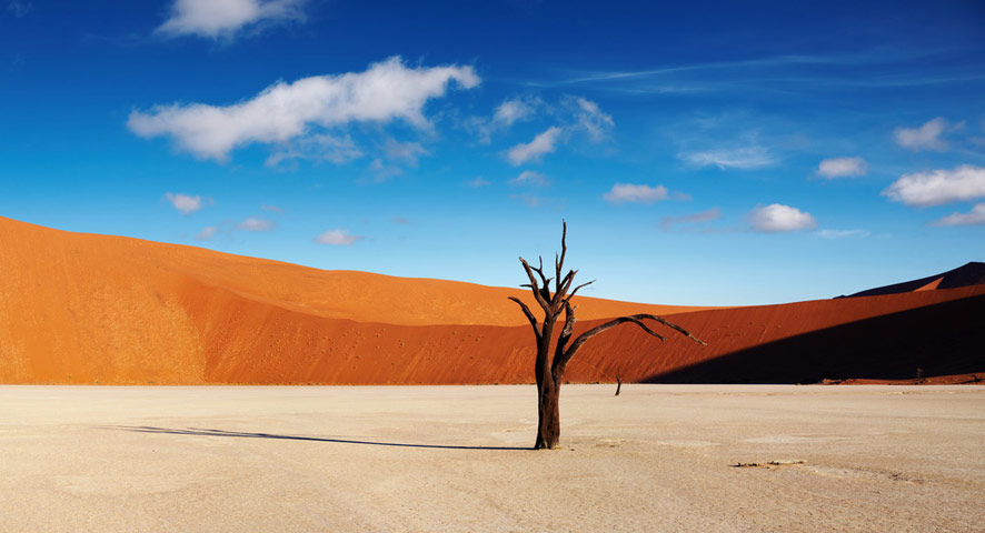 Farbkontraste im Dead Vlei